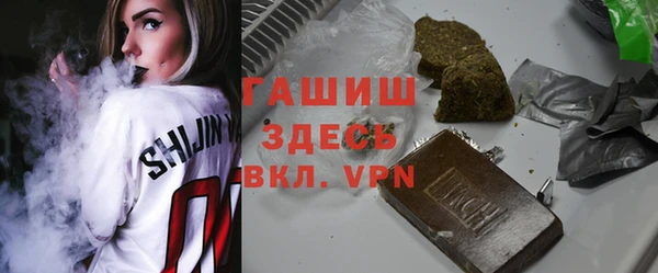 стафф Гусев
